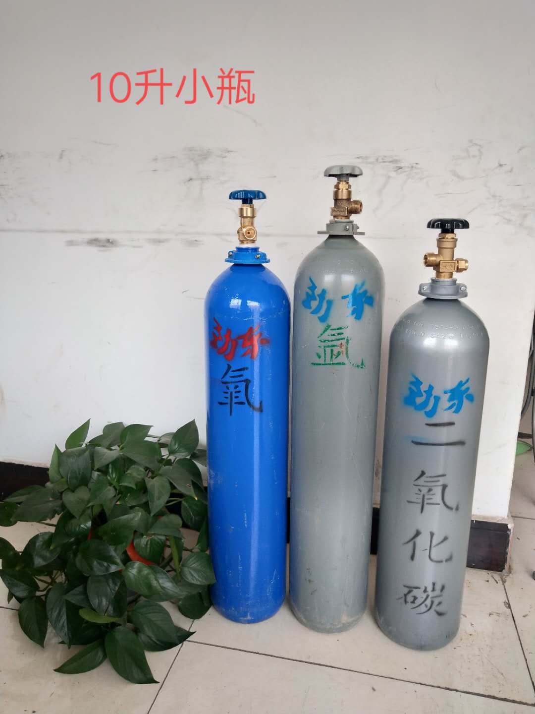 寧夏氧氣,寧夏氮氣,寧夏干冰,寧夏二氧化碳,寧夏氫氣，寧夏氦氣，寧夏氬氣，寧夏丙烷，寧夏乙炔，寧夏混合氣，寧夏高純空氣，寧夏液化石油氣，銀川氧氣,銀川氮氣,銀川干冰,銀川二氧化碳,銀川氫氣，銀川氦氣，銀川氬氣，銀川丙烷，銀川乙炔，銀川混合氣，銀川高純空氣，銀川液化石油氣